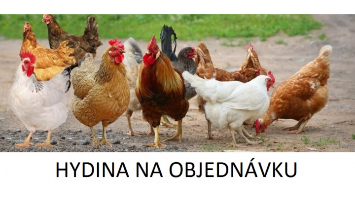 HYDINA NA OBJEDNÁVKU