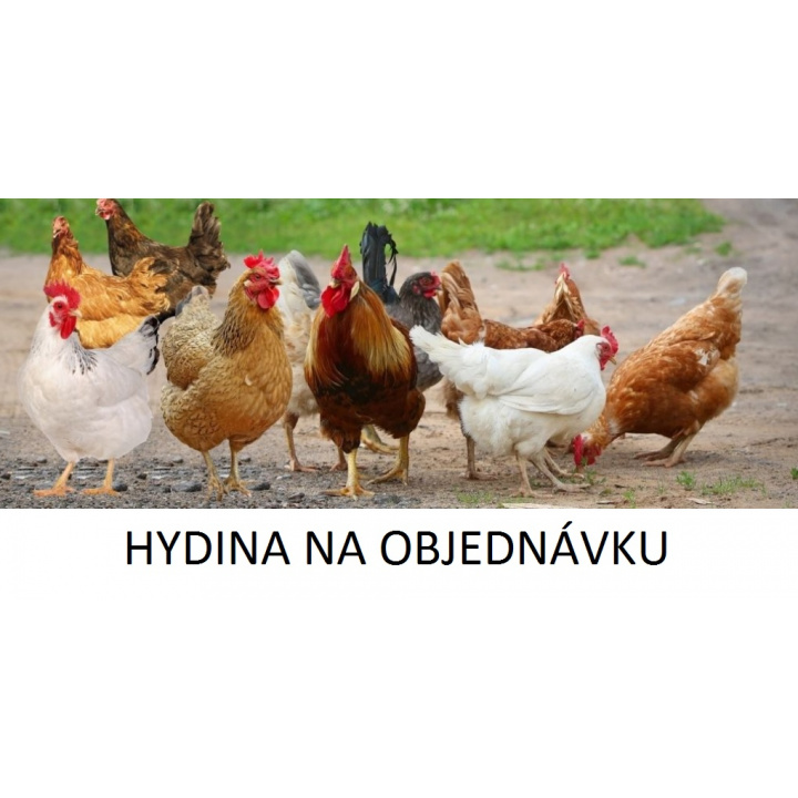 HYDINA NA OBJEDNÁVKU